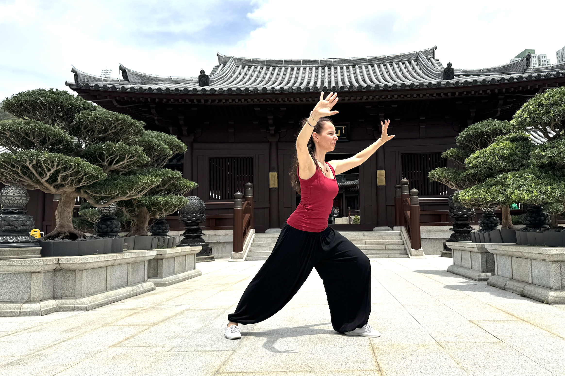 Qi Gong au parc – été 2025 Qi Gong au parc – été 2025